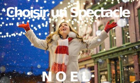choisir spectacle de noël